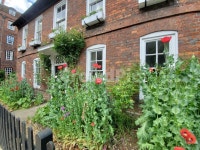 벽돌집, 붉은벽돌, 외국, 집앞, 꽃밭, 사진,이미지,일러스트,캘리그라피 - rubyrobin6작가 크라우드픽 - 저작권 걱정 없는 상업용 이미지