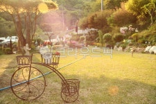 자전거, 햇살, 마당, 가든, 정원, 사진,이미지,일러스트,캘리그라피 - 숙취작가 크라우드픽 - 저작권 걱정 없는 상업용 이미지