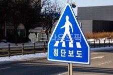 횡단보도, 보행자, 옥외, 표지판, outdoors, 사진,이미지,일러스트,캘리그라피 - studio H작가 크라우드픽 - 저작권 걱정 없는 상업용 이미지
