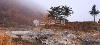 나무, 옥외, 자연, 구름, 가을, 사진,이미지,일러스트,캘리그라피 - h_h0104작가 크라우드픽 - 저작권 걱정 없는 상업용 이미지