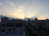 nature, 자연, outdoors, 옥외, 햇빛, 사진,이미지,일러스트,캘리그라피 - gokugoku작가 크라우드픽 - 저작권 걱정 없는 상업용 이미지