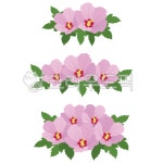 무궁화, 무궁화꽃, 우리나라꽃, 무궁화장식, 무궁화꾸미기, 사진,이미지,일러스트,캘리그라피 - April29작가 크라우드픽 - 저작권 걱정 없는... 