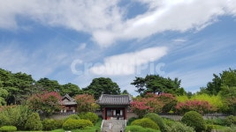 오죽헌, 한국, 전통, 하늘, 풍경, 사진,이미지,일러스트,캘리그라피 - Dolcetto작가 크라우드픽 - 저작권 걱정 없는 상업용 이미지
