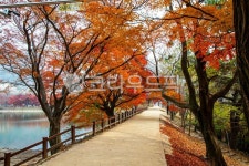 단풍, 공원, 내수면환경생태공원, 붉은단풍, 아름다움, 사진,이미지,일러스트,캘리그라피 - 오륙도열이작가 크라우드픽 - 저작권 걱정 없는 상업용... 