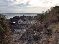 망장포구, 바다, 올레5코스, 올레길, 제주, 사진,이미지,일러스트,캘리그라피 - Deep bLUE작가 크라우드픽 - 저작권 걱정 없는 상업용 이미지