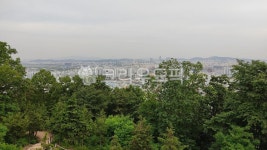 산, 슾, 피톤치드, metropolis, 중심지, 사진,이미지,일러스트,캘리그라피 - maskeder작가 크라우드픽 - 저작권 걱정 없는 상업용 이미지