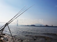 낚시, fishing, 여수, 이순신대교, 대교, 사진,이미지,일러스트,캘리그라피 - 콩이아빠작가 크라우드픽 - 저작권 걱정 없는 상업용 이미지