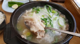 돼지국밥, 국밥, 뚝배기, 점심, 한식, 사진,이미지,일러스트,캘리그라피 - 엠피작가 크라우드픽 - 저작권 걱정 없는 상업용 이미지
