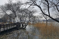 신정호, 신정호국민관광지, 아산, 인공호수, 호수, 사진,이미지,일러스트,캘리그라피 - Deep bLUE작가 크라우드픽 - 저작권 걱정 없는 상업용... 