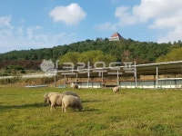 nature, 자연, outdoors, 옥외, field, 사진,이미지,일러스트,캘리그라피 - Ntfyhun988작가 크라우드픽 - 저작권 걱정 없는 상업용 이미지