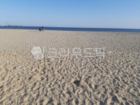 바다, sea, 하늘, sky, 모래, 사진,이미지,일러스트,캘리그라피 - 황금왕관작가 크라우드픽 - 저작권 걱정 없는 상업용 이미지