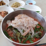 물회, 회, 생선회, 음식, 식사, 사진,이미지,일러스트,캘리그라피 - 먹보보리작가 크라우드픽 - 저작권 걱정 없는 상업용 이미지