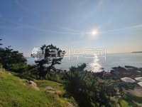 nature, outdoors, 옥외, sky, 햇빛, 사진,이미지,일러스트,캘리그라피 - 하늘온작가 크라우드픽 - 저작권 걱정 없는 상업용 이미지
