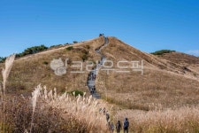 황매산골유흥주점 | 황매산, 억새, 갈대, 하늘, 산, 사진,이미지,일러스트,캘리그라피 - darkjjd작가 크라우드픽 - 저작권 걱정 없는 상업용 이미지