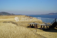 갈대, 금강, 다리, 정자, 강변, 사진,이미지,일러스트,캘리그라피 - 동고미작가 크라우드픽 - 저작권 걱정 없는 상업용 이미지