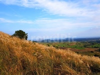 제주, jeju, 제주도, jejudo, 여행, 사진,이미지,일러스트,캘리그라피 - sungil121작가 크라우드픽 - 저작권 걱정 없는 상업용 이미지