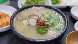 돼지국밥, 국밥, 탕반, 부추, 국수, 사진,이미지,일러스트,캘리그라피 - BUSAN OPPA작가 크라우드픽 - 저작권 걱정 없는 상업용 이미지