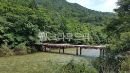 자연, 나무, 다리, 물, 산, 사진,이미지,일러스트,캘리그라피 - 어여쁜공주작가 크라우드픽 - 저작권 걱정 없는 상업용 이미지