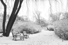 furniture, 가구, bench, 벤치, 하얀눈, 사진,이미지,일러스트,캘리그라피 - 시처럼찰칵작가 크라우드픽 - 저작권 걱정 없는 상업용 이미지