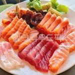 연어회, 참치회, 연어, 참치, 생선회, 사진,이미지,일러스트,캘리그라피 - BUSAN OPPA작가 크라우드픽 - 저작권 걱정 없는 상업용 이미지