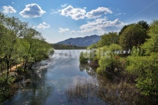 서울대공원, 관악산, 공원, 과천, 자연, 사진,이미지,일러스트,캘리그라피 - Deep bLUE작가 크라우드픽 - 저작권 걱정 없는 상업용 이미지