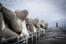 바다, 등대, 동해, 낙산해수욕장, 테트라포드, 사진,이미지,일러스트,캘리그라피 - tdrc작가 크라우드픽 - 저작권 걱정 없는 상업용 이미지