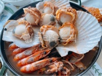 해물탕, 꽃게탕, 알탕, 해물, 해산물, 사진,이미지,일러스트,캘리그라피 - 먹방작가 크라우드픽 - 저작권 걱정 없는 상업용 이미지