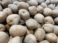 감자, 요리재료, 음식, 재료, 구황작물, 사진,이미지,일러스트,캘리그라피 - 메워니작가 크라우드픽 - 저작권 걱정 없는 상업용 이미지