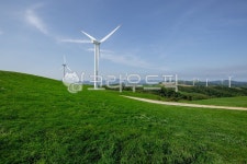 삼양목장, 목장, 산, 언덕, 들판, 사진,이미지,일러스트,캘리그라피 - pobiris작가 크라우드픽 - 저작권 걱정 없는 상업용 이미지