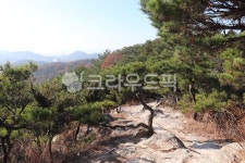 금당산, 소나무, 산길, 푸른하늘, 등산로, 사진,이미지,일러스트,캘리그라피 - 언제나민들레작가 크라우드픽 - 저작권 걱정 없는 상업용 이미지