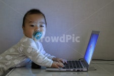 아기, 애기, 컴퓨터, 노트북, 집중, 사진,이미지,일러스트,캘리그라피 - sinsy작가 크라우드픽 - 저작권 걱정 없는 상업용 이미지