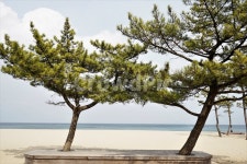 바다, 낙산, 해수욕장, 모래사장, 자연, 사진,이미지,일러스트,캘리그라피 - hys작가 크라우드픽 - 저작권 걱정 없는 상업용 이미지