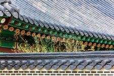 기와, 선, 담장, 고궁, 창덕궁, 사진,이미지,일러스트,캘리그라피 - 봉구58작가 크라우드픽 - 저작권 걱정 없는 상업용 이미지