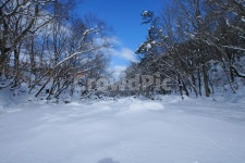 설경, 무주, 국립공원, 구천동, 덕유산, 사진,이미지,일러스트,캘리그라피 - 순딩이작가 크라우드픽 - 저작권 걱정 없는 상업용 이미지