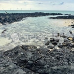 바다, 해변, 푸른바다, 제주바다, 제주도, 사진,이미지,일러스트,캘리그라피 - 맨클라쓰작가 크라우드픽 - 저작권 걱정 없는 상업용 이미지