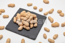 땅콩, peanut, peanuts, 견과류, heap, 사진,이미지,일러스트,캘리그라피 - kimdsjh16작가 크라우드픽 - 저작권 걱정 없는 상업용 이미지