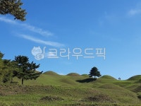 나무, 하늘, 고분, 들, 불로동근린공원, 사진,이미지,일러스트,캘리그라피 - DrawMyLife작가 크라우드픽 - 저작권 걱정 없는 상업용 이미지