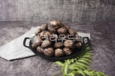 피꼬막, 꼬막, cockle, redshell, seashell, 사진,이미지,일러스트,캘리그라피 - mippda작가 크라우드픽 - 저작권 걱정 없는 상업용 이미지