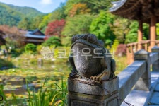 두꺼비, 동상, statue, 조형물, 단풍, 사진,이미지,일러스트,캘리그라피 - atanacio76작가 크라우드픽 - 저작권 걱정 없는 상업용 이미지