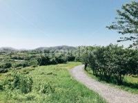 초원, 돌길, 하늘, 나무, 꼬부랑길, 사진,이미지,일러스트,캘리그라피 - 로러작가 크라우드픽 - 저작권 걱정 없는 상업용 이미지