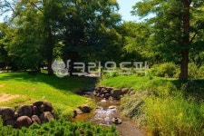 nature, 자연, 시냇물, 공원, 나무, 사진,이미지,일러스트,캘리그라피 - yoncamera작가 크라우드픽 - 저작권 걱정 없는 상업용 이미지