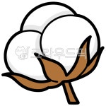 솜, 목화솜, 목화, 목화솜일러스트, 솜일러스트, 사진,이미지,일러스트,캘리그라피 - yunbeli0428작가 크라우드픽 - 저작권 걱정 없는 상업용...