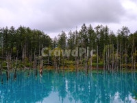 호수, 숲속, 흐림, 파란호수, 스산함, 사진,이미지,일러스트,캘리그라피 - 뮹뮹이작가 크라우드픽 - 저작권 걱정 없는 상업용 이미지