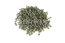 콩, 대두, 서리태, 청태, 청서리태, 사진,이미지,일러스트,캘리그라피 - 톤앤코드작가 크라우드픽 - 저작권 걱정 없는 상업용 이미지