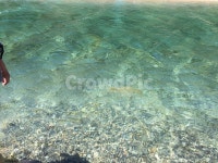 계곡, 물, 물가, 에메랄드빛, 강, 사진,이미지,일러스트,캘리그라피 - 안녕하세요잘부탁드립니다작가 크라우드픽 - 저작권 걱정 없는 상업용 이미지