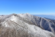 소백산, 눈꽃, 서리꽃, 상고대, 겨울, 사진,이미지,일러스트,캘리그라피 - 릴작가 크라우드픽 - 저작권 걱정 없는 상업용 이미지