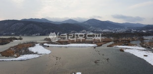 눈, 나무, 자연, 강, 물, 사진,이미지,일러스트,캘리그라피 - Nphseo59작가 크라우드픽 - 저작권 걱정 없는 상업용 이미지