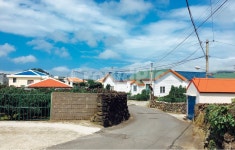 제주도, 하늘, 제주도풍경, 마을, 길, 사진,이미지,일러스트,캘리그라피 - Future작가 크라우드픽 - 저작권 걱정 없는 상업용 이미지