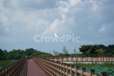 만경저수지, 능제저수지, 김제만경저수지, 저수지, 농업저수지, 사진,이미지,일러스트,캘리그라피 - Nkhd0192작가 크라우드픽 - 저작권 걱정... 