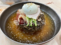 밀면, 부산밀면, 물밀면, 요리, 음식, 사진,이미지,일러스트,캘리그라피 - 프리셔터작가 크라우드픽 - 저작권 걱정 없는 상업용 이미지